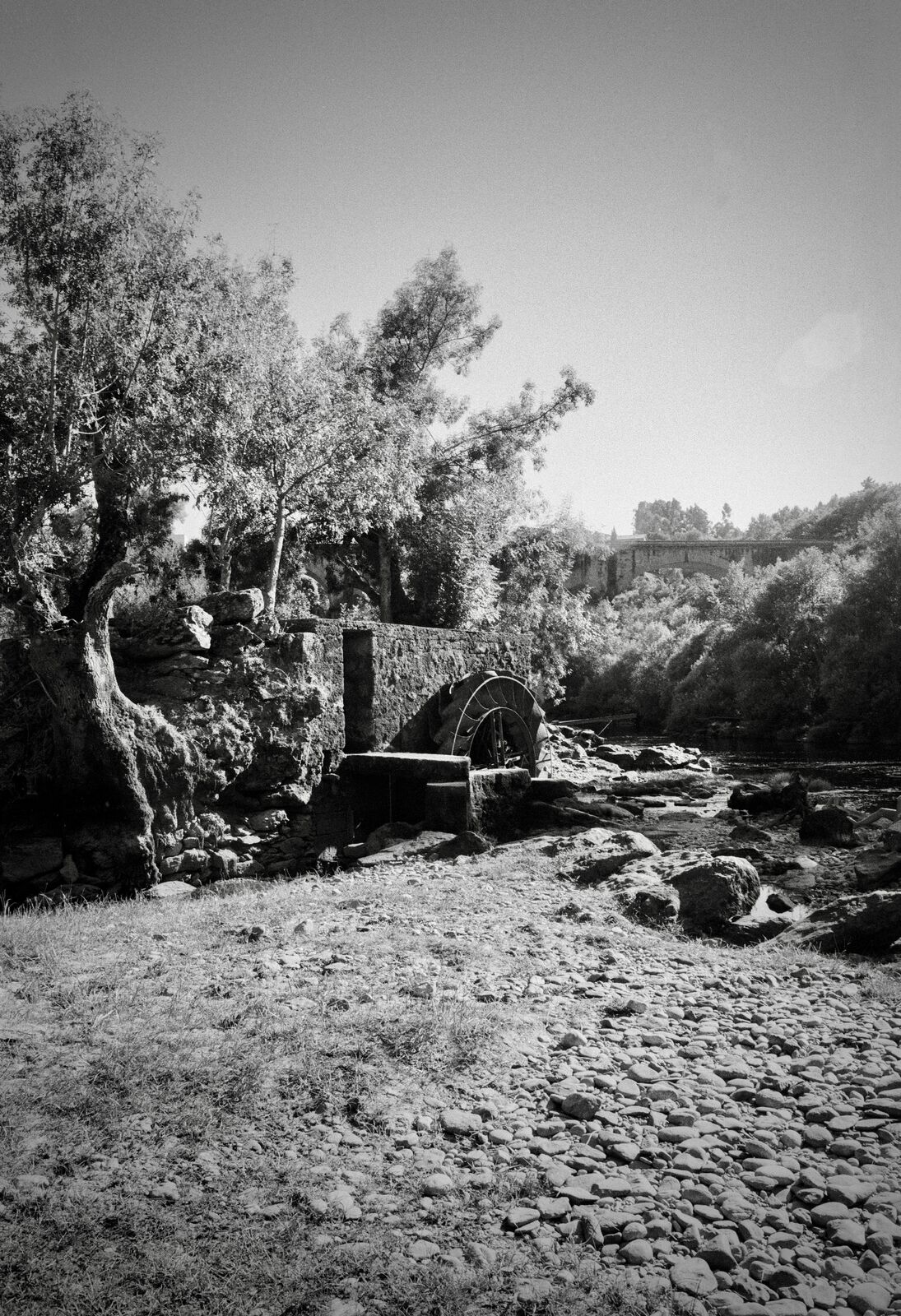 Paysage rural en noir et blanc